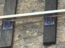 IMG_0137.jpeg