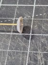 20240614_091441.jpg