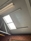 IMG_3536.jpeg IMG_3536.jpeg