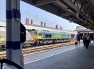 IMG_7316.jpeg IMG_7316.jpeg