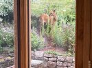 IMG_0874.JPG