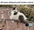 garden railway.jpg garden railway.jpg