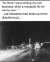 1000013111.jpg 1000013111.jpg