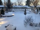IMG_3044.jpeg IMG_3044.jpeg