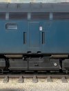 IMG_1086.jpeg