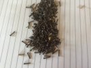 IMG_0676.jpeg