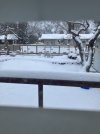 IMG_3145.jpeg