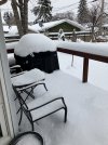 IMG_3154.jpeg