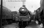 img045 TM6 Film ID MSH Up The Cty 17B shed plate Willesden Jun 63. copyright FINAL.jpg