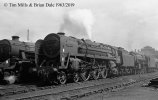 img058 TM 28A No Film ID 70044 Wilesden Shed Pictures Jun 63 copyright FINAL.jpg