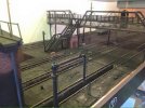IMG_0872.jpeg