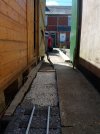 hkSAM_2088.JPG