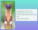 FB_IMG_1752909438449.jpg