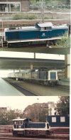 BLAUBEIGE DIESELS.jpg BLAUBEIGE DIESELS.jpg