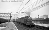 img767 TM 8 Film ID20 Local Trains. 69646 Down Chingford Local Bethnall Green 9 Jul 60 copyrig...jpg
