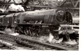 City of Hereford at Shrewsbury, having taken over the train from King George V1.JPG