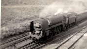 70029 Shooting Star on a down express.JPG