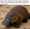 FB_IMG_1756392319089.jpg