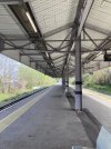 IMG_8967.jpeg