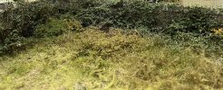 IMG_3286.jpeg