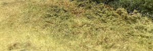 IMG_8463.jpeg