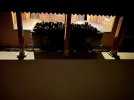 IMG_0302.jpeg