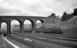 img811 TM 5A Film ID22A 48665 up parcels note star on cab side and observer on bridge parapet ...jpg