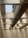 IMG_7167.jpeg