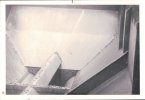 BR Dogfish inside the hopper.JPG BR Dogfish inside the hopper.JPG