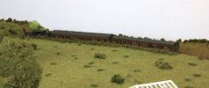IMG_0476.jpeg