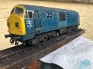 IMG_9768.jpeg