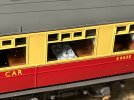 IMG_0236.jpeg