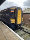 IMG_0213.jpeg