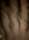 IMG_2570.jpeg