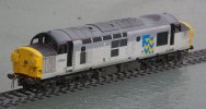 JSW_9105.JPG