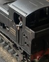 IMG_9716.jpeg
