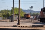 savanna036A7791.jpg