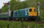 DSC06768crred.jpg
