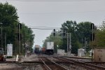 desh036A8092.jpg
