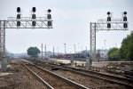 dolton036A8299.jpg