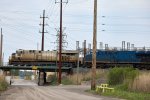 dolton036A8345.jpg