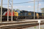 dolton036A8360.jpg