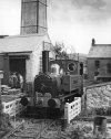 Goonamarth86-02.jpg