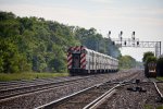 elmhurst036A8414.jpg