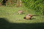 DSC03413.JPG