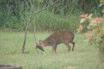 DSC03426.JPG