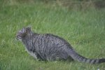 DSC03424.JPG