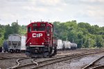 davenport036A8821.jpg