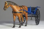 horse_HLB5054.jpg