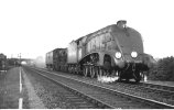up milk train at Witham.jpg up milk train at Witham.jpg